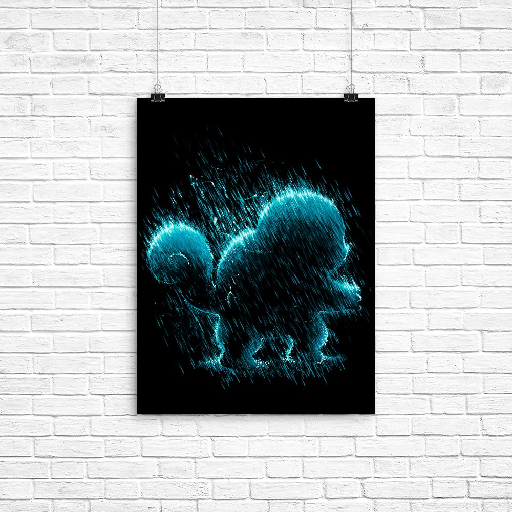 Water Type - Poster