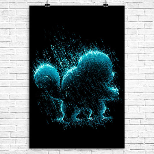 Water Type - Poster