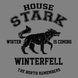 Winter is Coming (Alt) - Poster