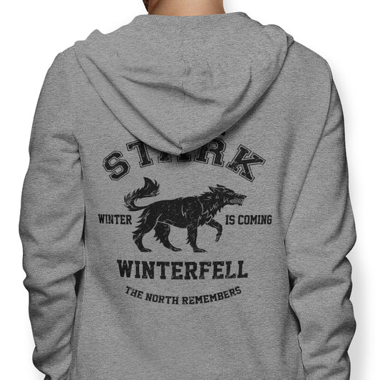 Winter is Coming (Alt) - Hoodie