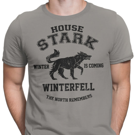 Winter is Coming (Alt) - Men's Apparel