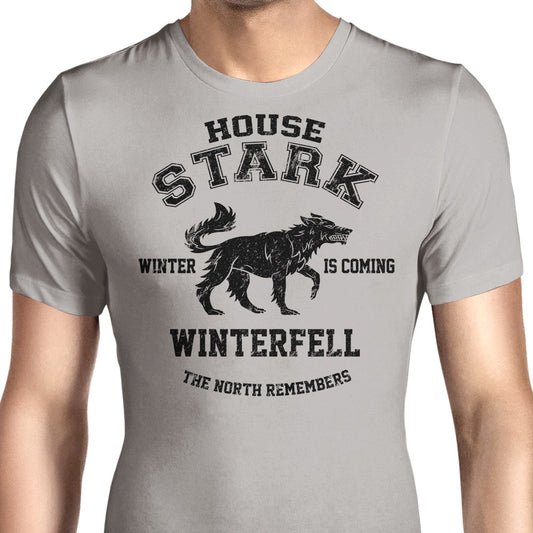Winter is Coming (Alt) - Men's Apparel