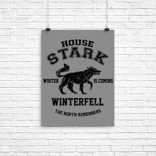 Winter is Coming (Alt) - Poster