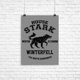 Winter is Coming (Alt) - Poster