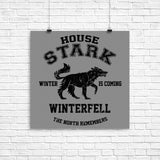 Winter is Coming (Alt) - Poster