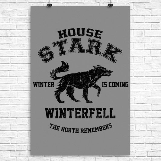 Winter is Coming (Alt) - Poster