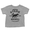 Winter is Coming (Alt) - Youth Apparel