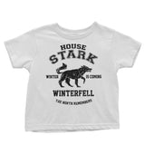 Winter is Coming (Alt) - Youth Apparel