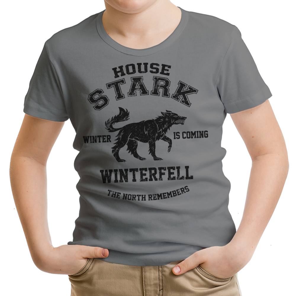 Winter is Coming (Alt) - Youth Apparel