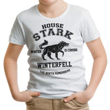 Winter is Coming (Alt) - Youth Apparel