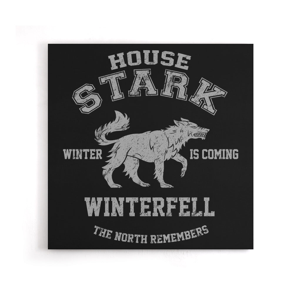 Winter is Coming - Canvas Print