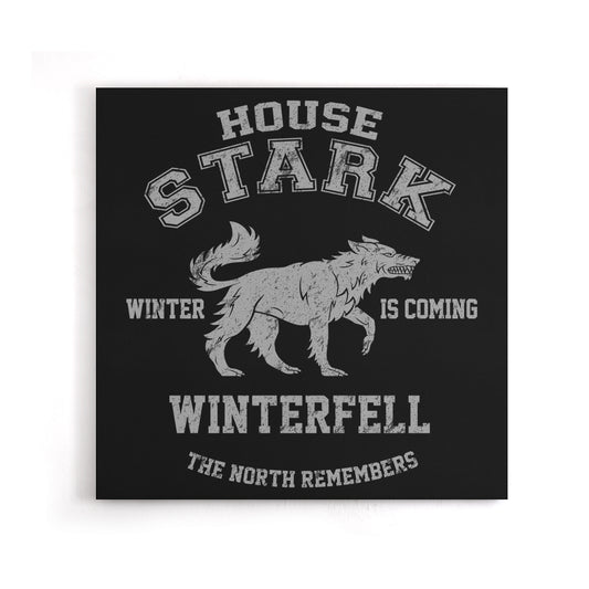 Winter is Coming - Canvas Print