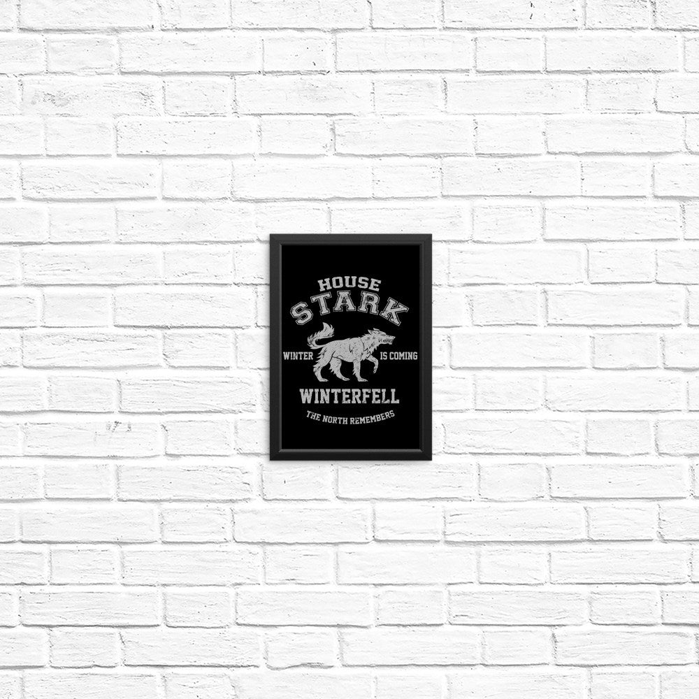Winter is Coming - Posters & Prints