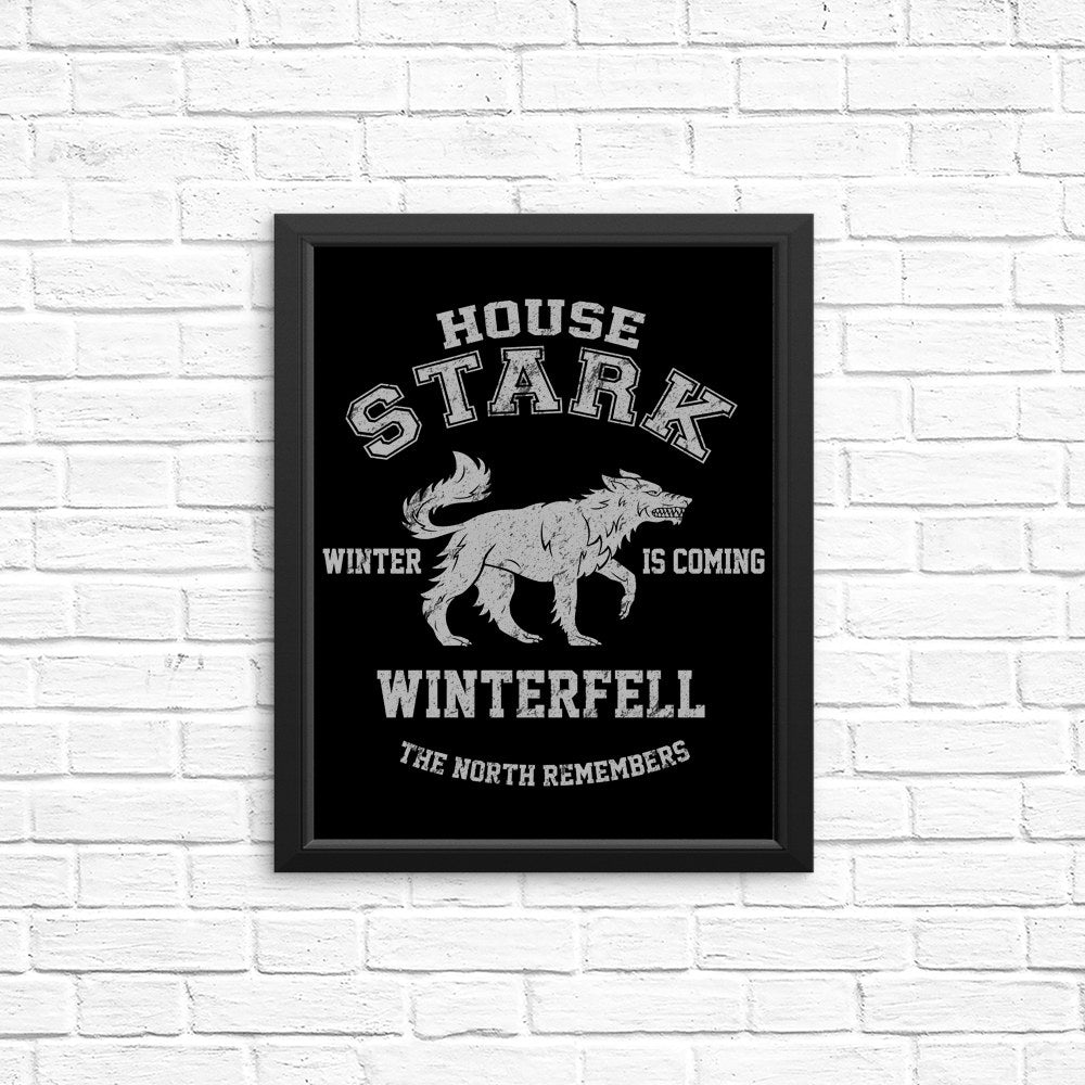 Winter is Coming - Posters & Prints