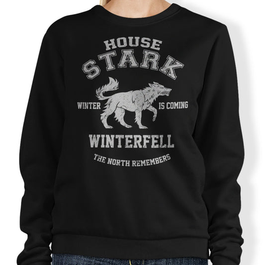 Winter is Coming - Sweatshirt