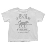 Winter is Coming - Youth Apparel