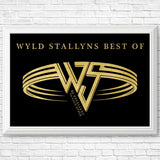 Wyld Stallyns Best Of - Posters & Prints