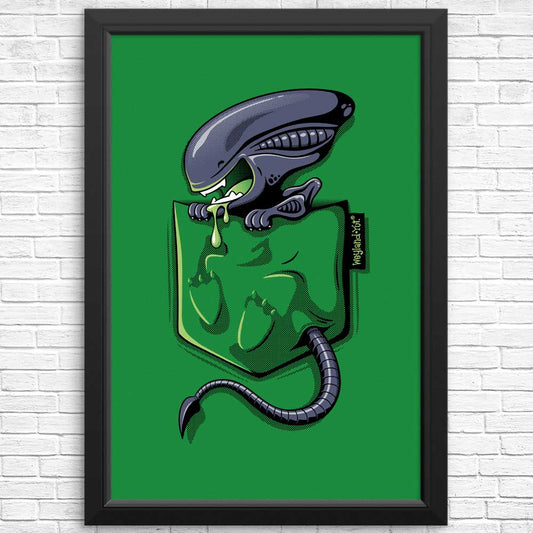 Xeno Pocket - Posters & Prints
